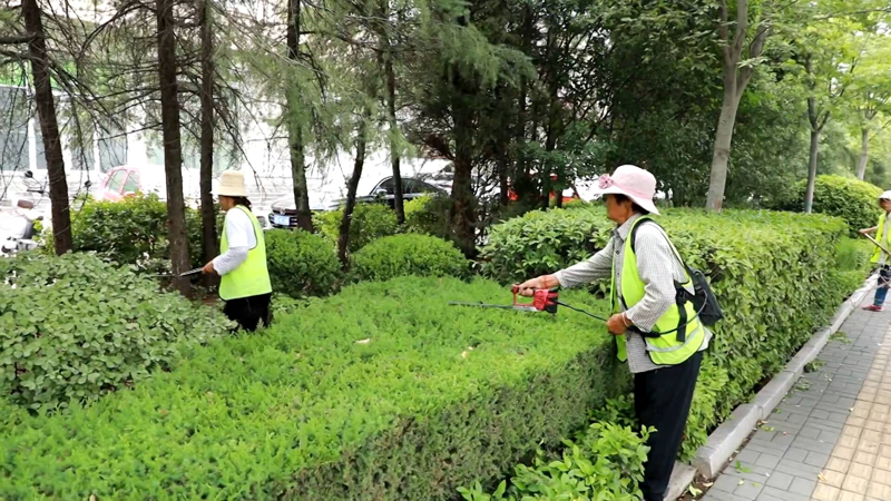 绿化养护服务